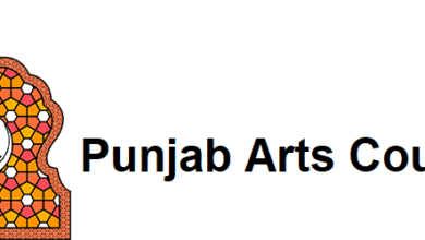 Photo of پنجاب کی ہر آرٹس کونسل میں کرافٹ ہٹی قائم کرنے کافیصلہ کرلیا گیا