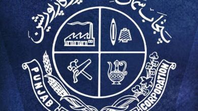 Photo of پنجاب سمال انڈسٹریز کی گھریلو صنعتوں کے فروغ کیلئے آسان شرائط پر قرض کی فراہمی