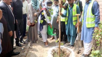Photo of کمشنر ملتان ڈویژن کا سائنس کالج کا دورہ، کالج میں پودے لگائے