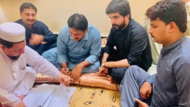 Photo of جمشید دستی رشتہ ازدواج میں منسلک ہوگئے