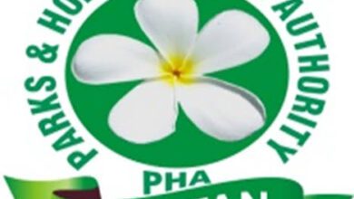 Photo of ملتان کے دو بڑے پارکوں میں 20 نئے جھولے لگانے کا فیصلہ