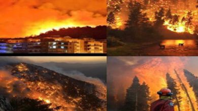 Photo of ترکی کے 17 صوبوں میں خوفناک آگ بھڑک اٹھی، بڑے پیمانے پر ریسکیو آپریشن جاری