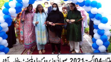 Photo of پنجاب حکومت خواتین کو با اختیار بنانے اور گھریلو تشدد روکنے کےلئے اقدام کررہی ہے :آ شفہ ریاض