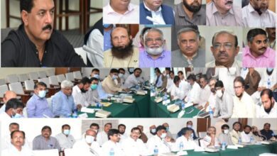 Photo of حکومت کپاس کی بحالی و فروغ اور ریسرچ اداروں کی بہتری کے لئے اقدامات اٹھانے جا رہی ہے: جمشید اقبال چیمہ