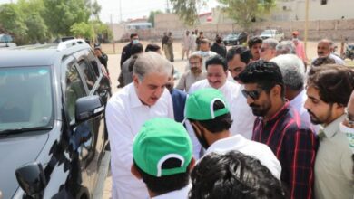 Photo of نوازشریف زرعی یونیورسٹی کی جناح پارک میں شجرکاری،شاہ محمود قریشی کی شرکت