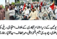 Photo of آل پاکستان واپڈا ہائیڈرو الیکٹرک ورکرز یونین کا یوم احتجاج