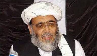 Photo of شہری ہوشیار، فضل الرحمان کا ریموٹ کنٹرول لندن  میں ہے:حافظ حسین احمد