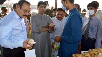 Photo of مہنگائی کنٹرول : کمشنر اور ڈپٹی کمشنر میدان میں نکل پڑے