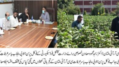 Photo of کپاس کے تمام اسٹیک ہولڈرز کے مسائل ترجیحی بنیادوں پر حل کئے جائیں گے: یاسر عرفات