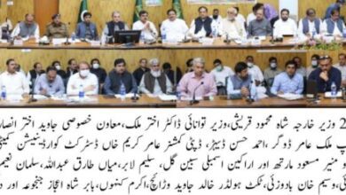 Photo of حکومت ختم ہونے کی اپوزیشن کی خواہش پوری نہیں ہو سکتی، اگلی باری بھی ہماری: شاہ محمود قریشی