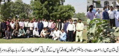 Photo of سنٹرل کاٹن ریسرچ انسٹیٹیوٹ ملتان میں میڈیا ورکرز کو کپاس بارے بریفنگ دی گئی