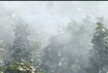 Photo of ملتان میں مصنوعی بارش