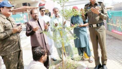 Photo of درخت اور پودے ماحول انسانی طبیعت پر خوشگوار اثرات مرتب کرتے ہیں: ایڈیشنل انسپکٹر جنرل پولیس