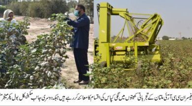 Photo of پنجاب سیڈ کارپوریشن کے آفیسران کا سی سی آر آئی ملتان کا دورہ