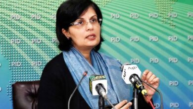 Photo of احساس ملکی تاریخ کا سب سے بڑا سماجی تحفظ کا پروگرام ہے:وزیراعظم کی معاون خصوصی ڈاکٹر ثانیہ نشتر