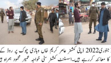 Photo of ملتان کی نئی سٹرکوں پر شجرکاری اور لائٹس لگانے کاحکم