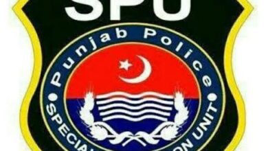 Photo of سپیشل پروٹیکشن یونٹ اہم تنصیبات سمیت غیر ملکی انجینیئرز و غیر ملکی ہنر مند افراد کی حفاظت کے لیے دن رات کوشاں