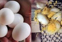 Photo of نقلی انڈے مارکیٹ میں آگئے ؛ صارفین  ہوشیار باش، پہچان کےلئے "ڈی رپورٹرز” کی خصوصی رپورٹ ملاحظہ فرمائیں