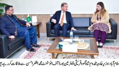 Photo of وزیر خارجہ مخدوم شاہ محمود قریشی کا وفاقی سرمایہ کاری بورڈ کا دورہ،چیرمین بورڈ آف انوسٹمنٹ محمد اظفر احسن سے ملاقات