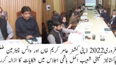 Photo of تارکین وطن کی زمینوں پر قبضے اور فراڈ کی شکایات کی فوری سماعت کافیصلہ