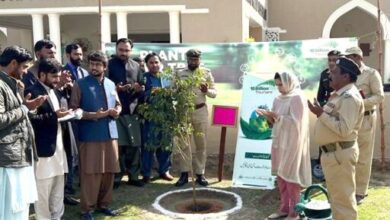 Photo of جنوبی پنجاب سیکرٹریٹ ٹین بلین ٹری سونامی منصوبے میں اول دستے کا کردار ادا کررہا ہے:نوشین ملک