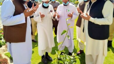 Photo of جیلوں میں بھی شجرکاری مہم شروع کردی گئی