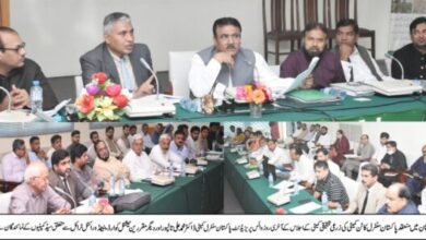 Photo of وزارت نیشنل فوڈ سیکیورٹی ملک میں بیج کی صنعت کو ترقی دینے کے لئے پرعزم ہے: ڈاکٹر محمد علی تالپور