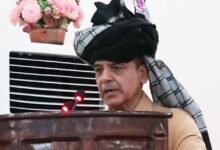Photo of کے پی کے کو پنجاب بنا کر چھوڑیں گے:وزیر اعظم شہباز شریف