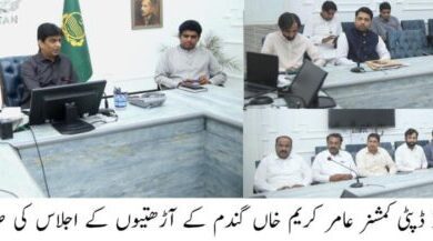 Photo of گندم خریداری ٹارگٹ میں اضافے کا فیصلہ