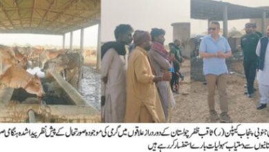 Photo of ایڈیشنل چیف سیکرٹری جنوبی پنجاب کا چولستان کادورہ