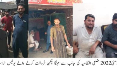 Photo of پولٹری مافیا کے خلاف کریک ڈاؤن