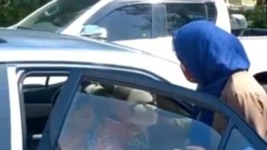 Photo of وزیراعلیٰ پنجاب کا شیریں مزاری کی رہائی کا حکم