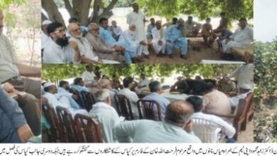 Photo of کپاس کی فصل میں مرجھاؤ کی بیماری کا بروقت تدارک نہایت ضروری ہے: ڈاکٹر زاہد محمود