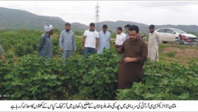 Photo of ڈائریکٹر سی سی آر آئی کی سربراہی میں چھ رکنی وفد کا بلوچستان کا دورہ