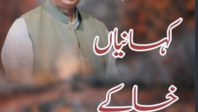 Photo of رضی الدین رضی کی نئی کتاب ”کالم ،کہانیاں،خاکے“ شائع ہوگئی