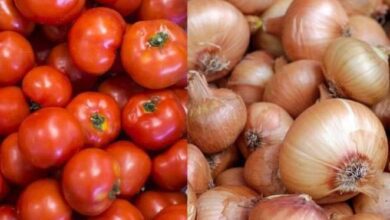 Photo of ٹماٹر اور  پیاز  کی در آمد پر ٹیکس ختم کر دیا گیا