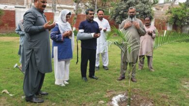 Photo of جنوبی پنجاب کے سکولوں میں 38 لاکھ پودے لگانے کا ہدف مقرر