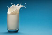 Photo of مفت دودھ کی تقیسم پراجیکٹ جنوبی پنجاب سے شروع کرنے کا فیصلہ