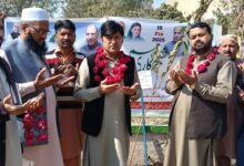 Photo of سکولوں میں شجرکاری مہم 2025 کا اغاز کردیا گیا