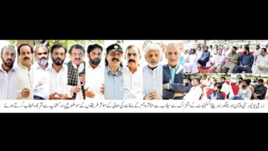 Photo of سیلاب سے متاثرہ آم کے باغات کی بحالی کے مؤثر طریقوں کے موضوع پر تربیتی ورکشاپ