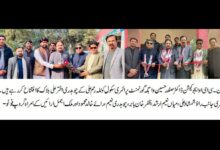 Photo of حکومتِ پنجاب تعلیمی ترقی و بہتری کے لیے کوشاں ہے، سی ای او ایجوکیشن